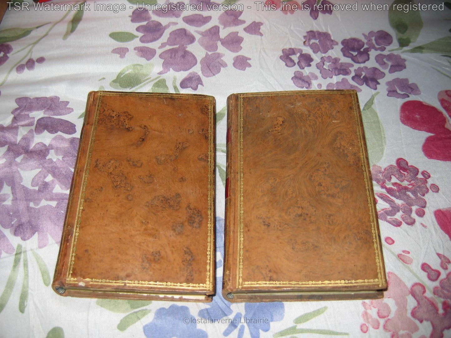 Brueys et Palaprat "Oeuvres Choisies" 2vol 1812 Théâtre Ed. stéréotype Didot