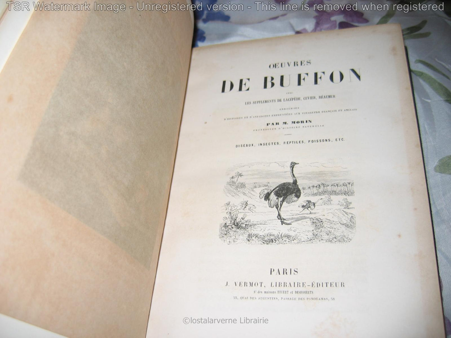 Œuvres de Buffon, d'après MORIN 2 volumes Superbes Gravures reliure Cuir 1870