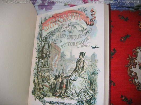 "Strasbourg Histórico y Pintoresco" SEYBOTH 2 vol. reed. 1971 bellas acuarelas