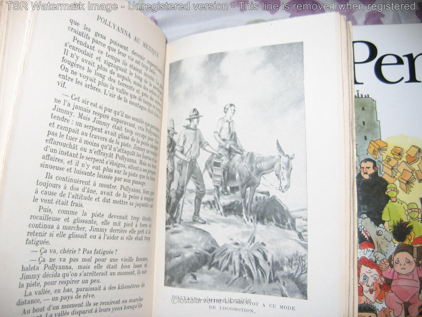 POLLYANNA Au Mexique - Elisabeth Borton - joliment illustré par Harold CUE 1938