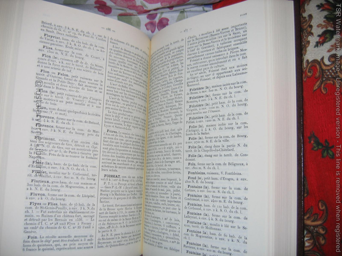 "Dictionnaire du département de l'Ain" Jacques Pommerol Reed Laffitte 1980 1/400