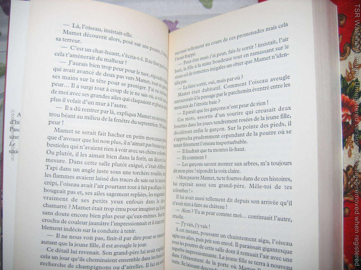 "Le Secret du chat huant" Anne Courtillé avec Envoi à Manoussi - 2001 Moyen-âge