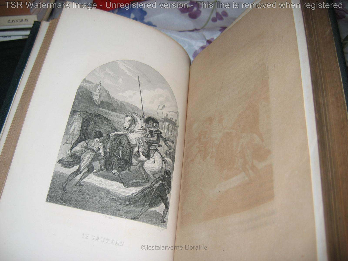Works by Buffon, after MORIN 2 volumes Superb Engravings leather binding 1870