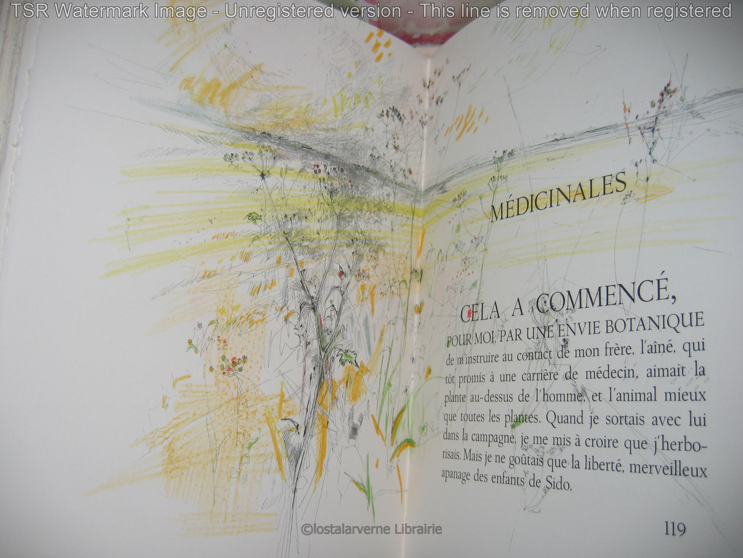 Pour Un Herbier COLETTE - Lithographies originales Commère 1/200 1972 Superbe