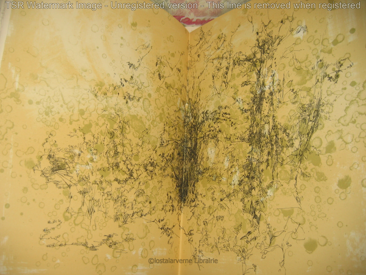 Pour Un Herbier COLETTE - Lithographies originales Commère 1/200 1972 Superbe