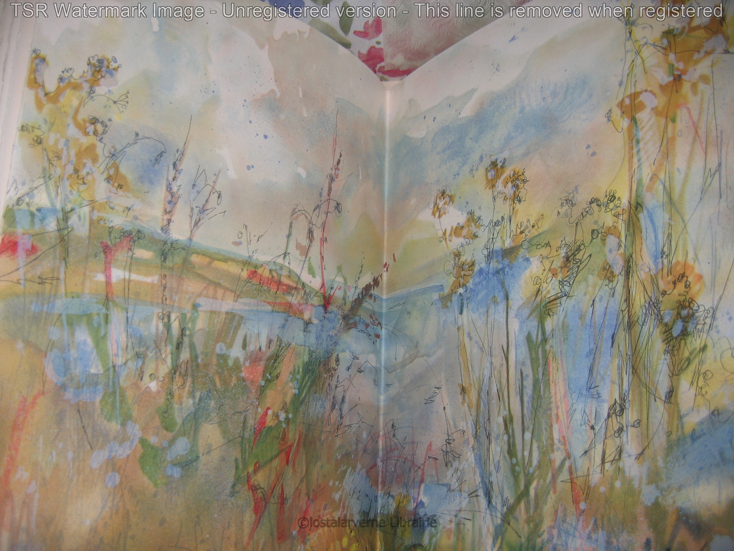 Pour Un Herbier COLETTE - Lithographies originales Commère 1/200 1972 Superbe