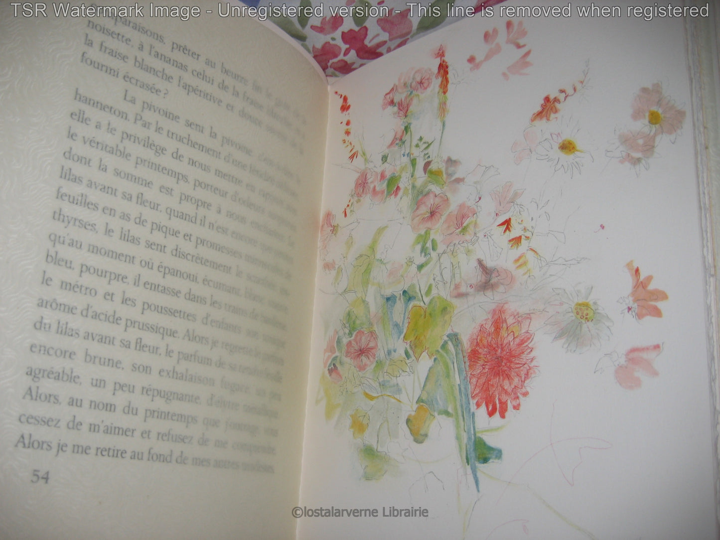 Pour Un Herbier COLETTE - Lithographies originales Commère 1/200 1972 Superbe