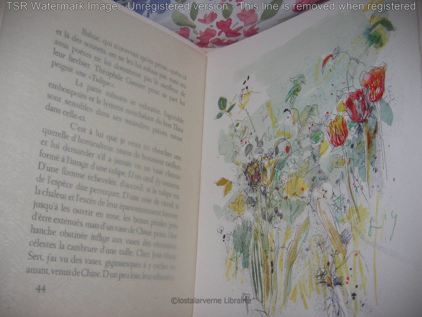 Pour Un Herbier COLETTE - Lithographies originales Commère 1/200 1972 Superbe