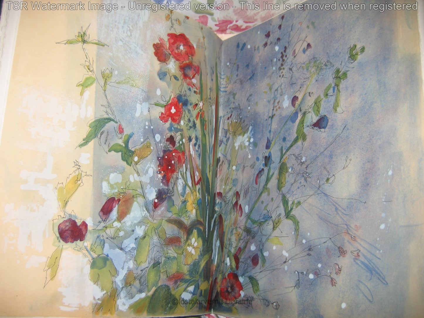 Pour Un Herbier COLETTE - Lithographies originales Commère 1/200 1972 Superbe