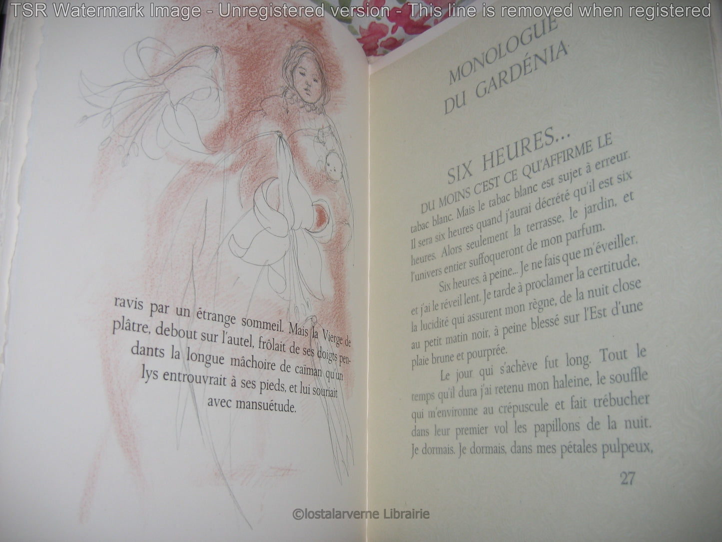 Pour Un Herbier COLETTE - Lithographies originales Commère 1/200 1972 Superbe