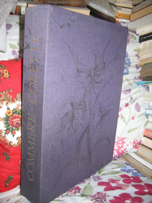 Pour Un Herbier COLETTE - Lithographies originales Commère 1/200 1972 Superbe