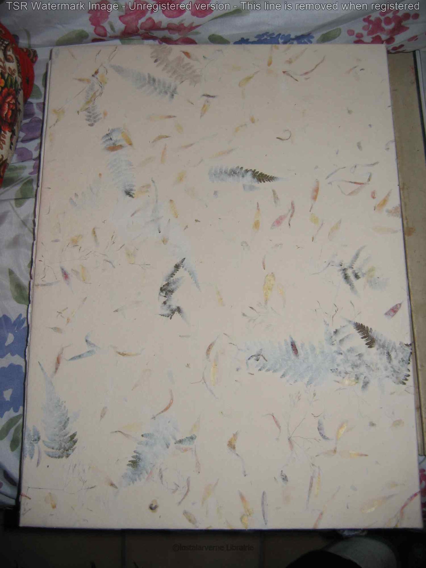 Pour Un Herbier COLETTE - Lithographies originales Commère 1/200 1972 Superbe