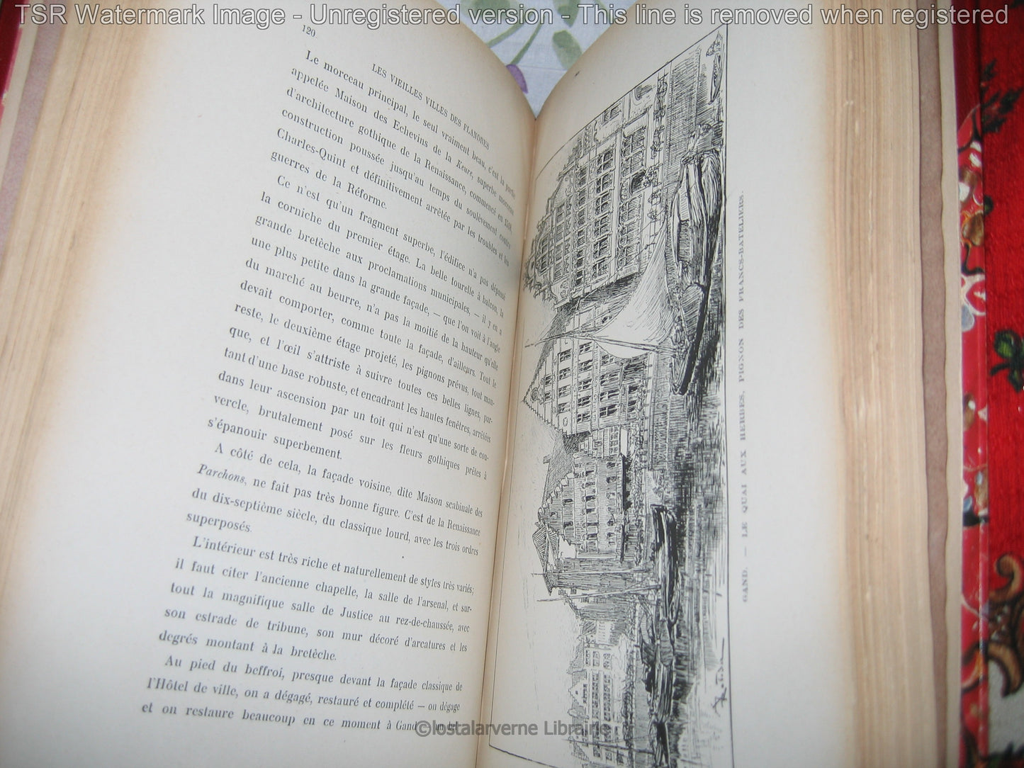 Vieilles Villes des Flandres - Albert Robida 1908 - Rel. Chagrin - Patrimoine