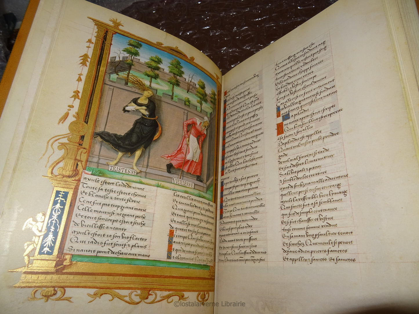 Le Roman de la Rose - Manuscrit M948 Pierpont Morgan Library - Maroquin 1993
