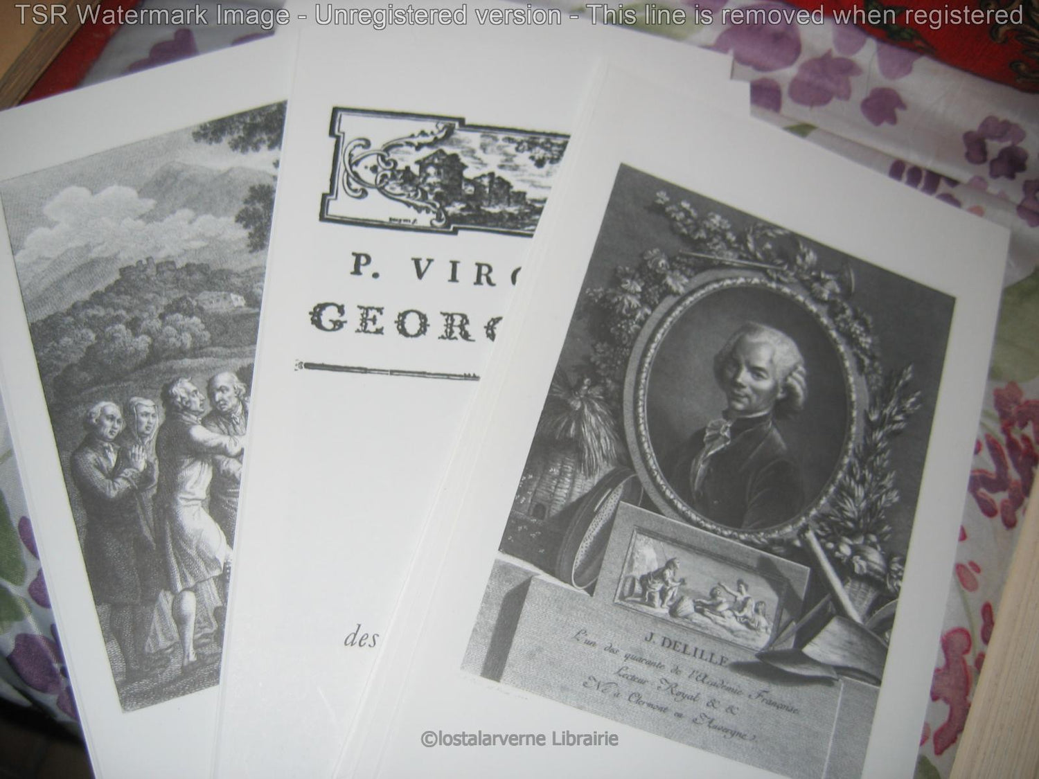 BIOGRAPHIE ESSAIS