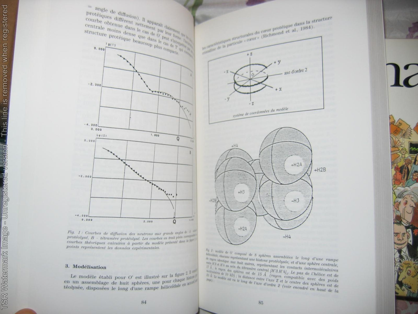 "Chromatine" Christian Marion ADN Importante synthèse Ed. CNRS 1991