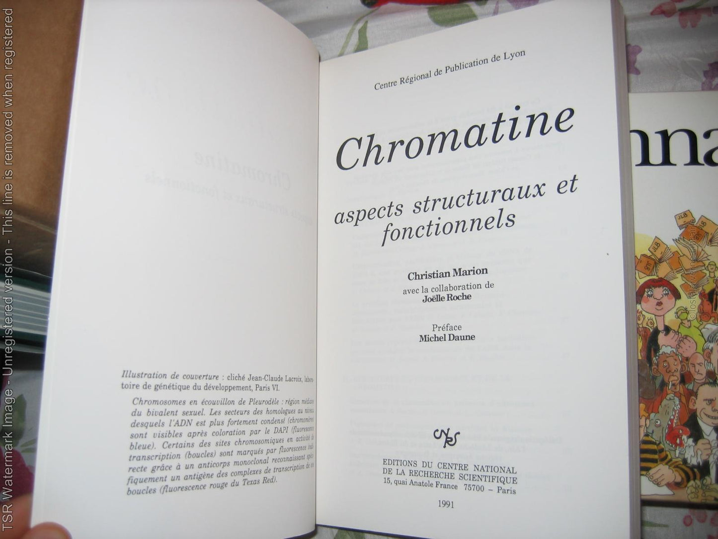 "Chromatine" Christian Marion ADN Importante synthèse Ed. CNRS 1991