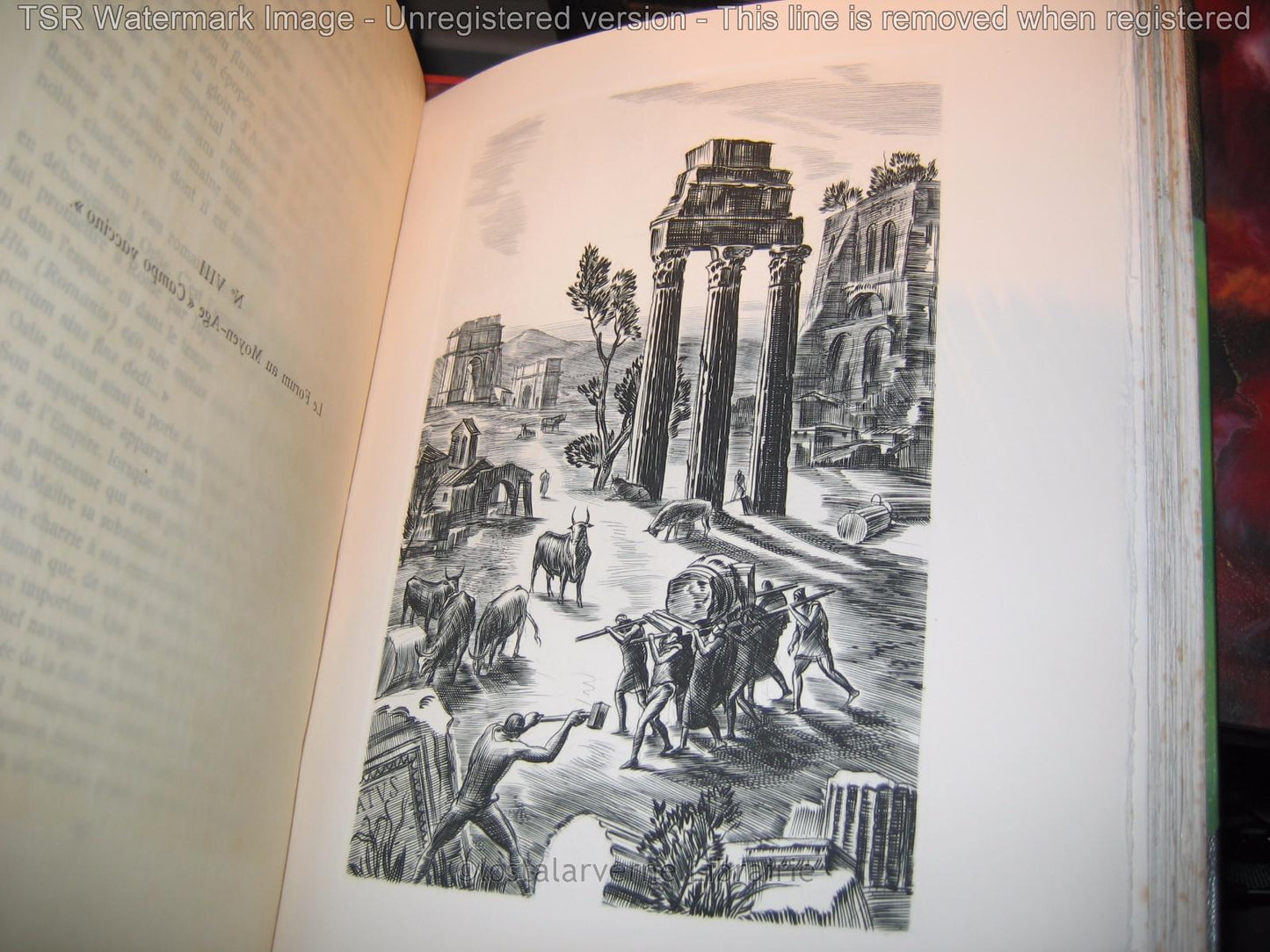 "L'Eau Romaine" Octave Homberg Illustré par DECARIS avec Envoi 1/225 relié 1936