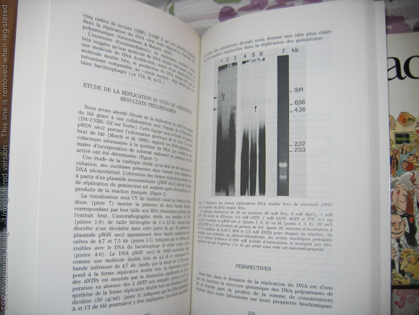 "Chromatine" Christian Marion ADN Importante synthèse Ed. CNRS 1991