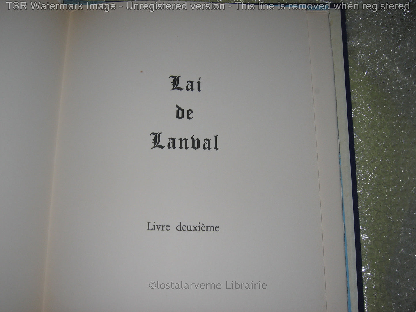 Le Lai de Lanval - Marie de France - Ed. SEFER ill. Lucy Boucher - Superbe