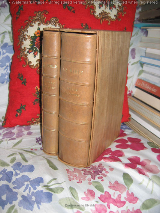 The Holy Bible of David Martin 1820 - Beautiful Binding - Protestantism - Ex Dono