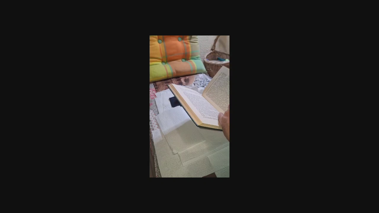 動画を読み込む: Vérification et Toilettage.